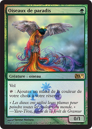 Oiseaux de paradis