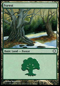 Forêt