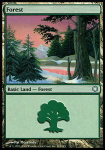 Forêt