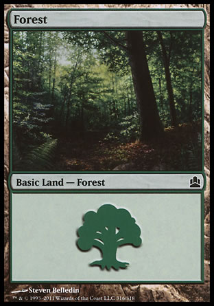 Forêt