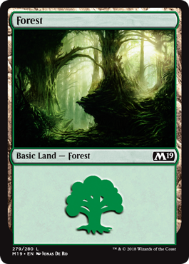 Forêt