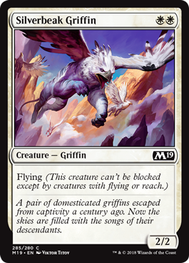 Griffon au bec d'argent