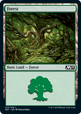 Forêt