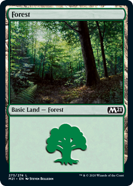 Forêt