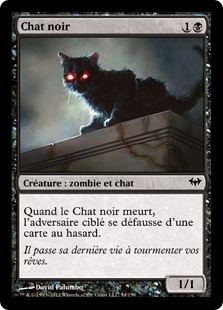 Chat noir