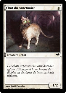 Chat du sanctuaire