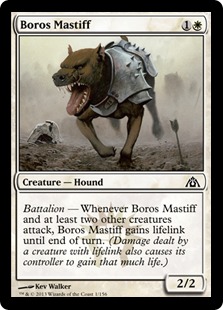 Dogue de Boros