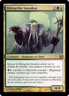 Hiérarche loxodon