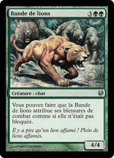 Bande de lions