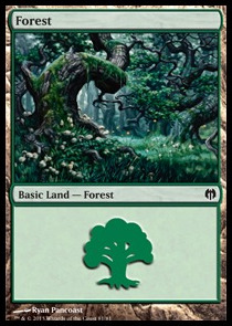 Forêt