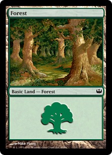 Forêt