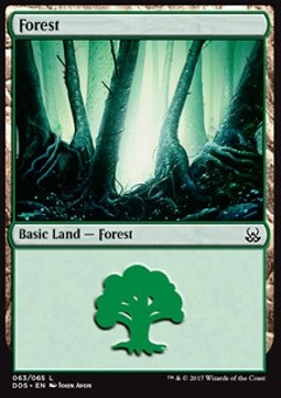 Forêt