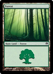 Forêt