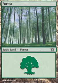 Forêt