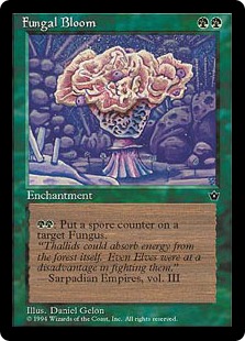 Fungal Bloom
