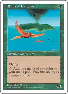 Oiseaux de paradis