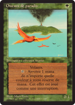 Oiseaux de paradis