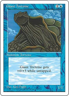 Tortue marine géante