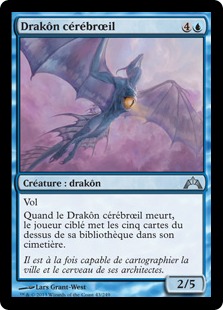 Drakôn cérébroeil