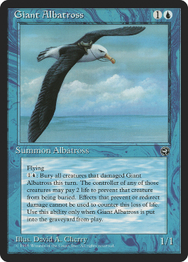 Albatros géant