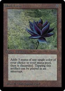 Lotus noir