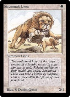 Lions des savanes