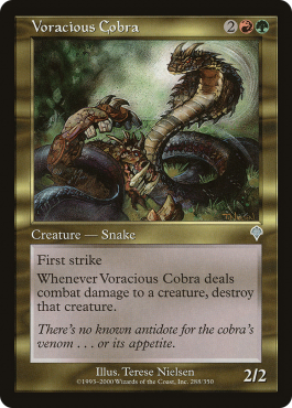 Cobra vorace
