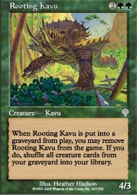 Kavru enracineur