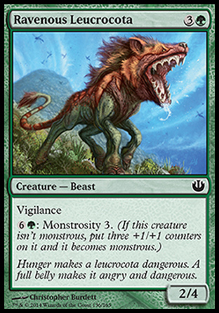 Leucrotta vorace
