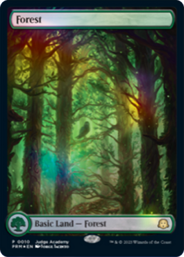 Forêt