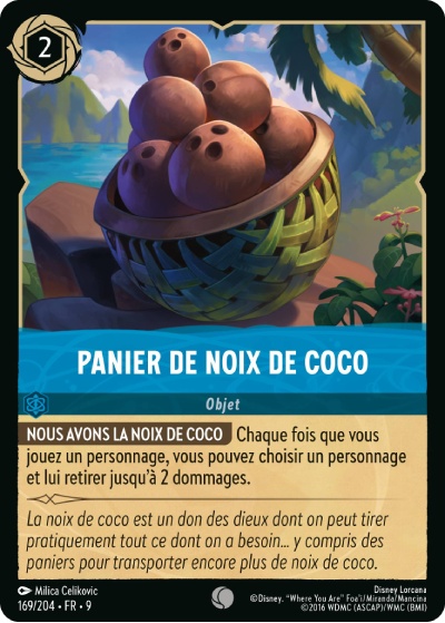 Panier De Noix De Coco