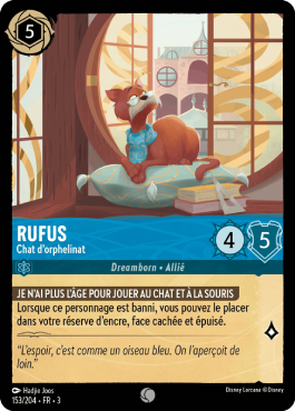 Rufus - Chat d’orphelinat