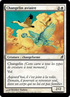 Changelin aviaire