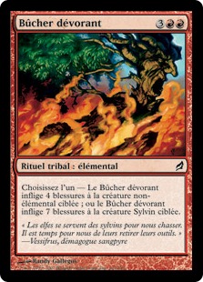 Bûcher dévorant