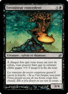 Envoûteur roncedent