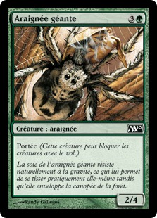 Araignée géante