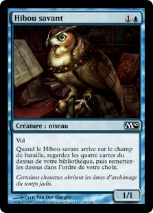 Hibou savant