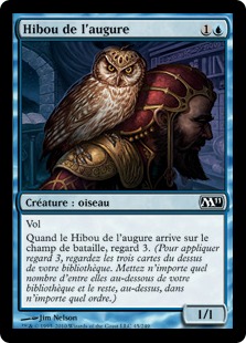 Hibou de l'augure