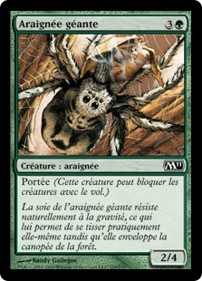 Araignée géante