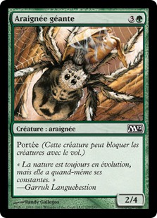 Araignée géante