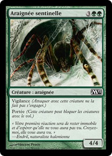 Araignée sentinelle