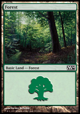 Forêt