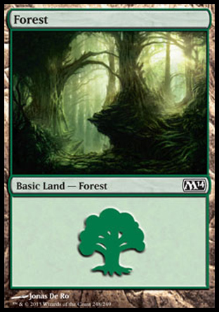 Forêt