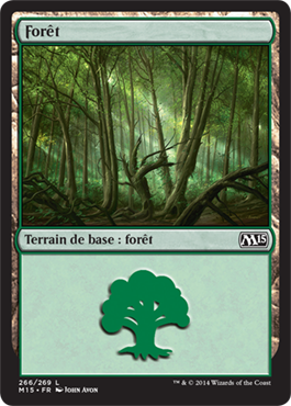 Forêt