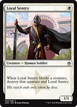 Sentinelle loyale