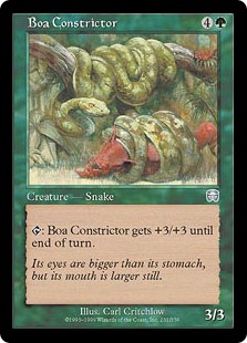 Boa constrictor