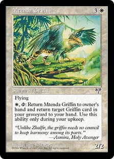 Griffon de la Mtenda