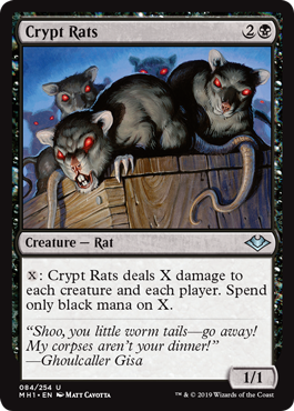 Rats des cryptes