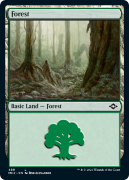 Forêt