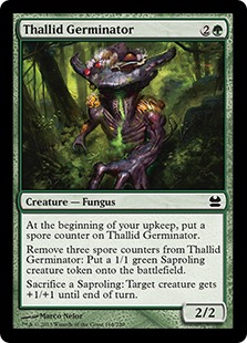 Thallidé germinateur